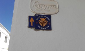 Nocturna Coripe 2017 (69)