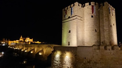 alpargata trail cordoba 4