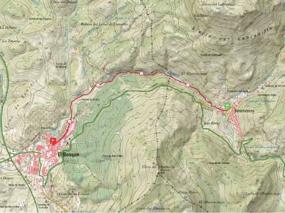 benamahoma el bosque