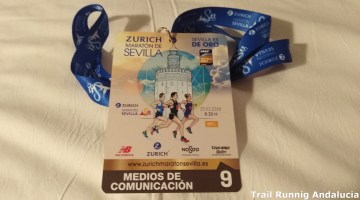 Maraton Sevilla 2018 (26)