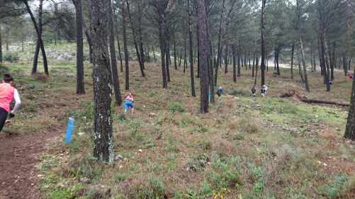 juan serrano imagenes XIV