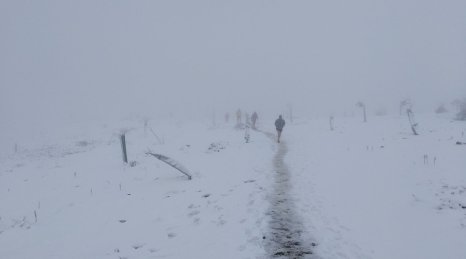 Pinsapo Trail 2018 (3)