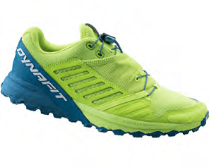 DYNAFIT ALPINE PRO