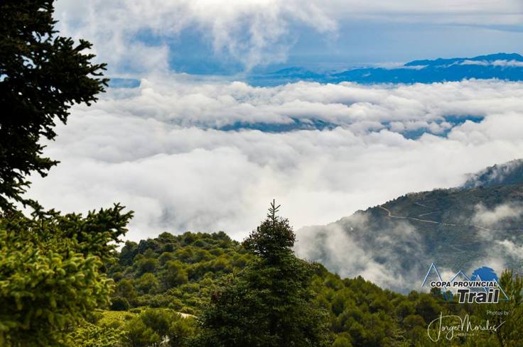 Pinsapo Trail 2019 (5)