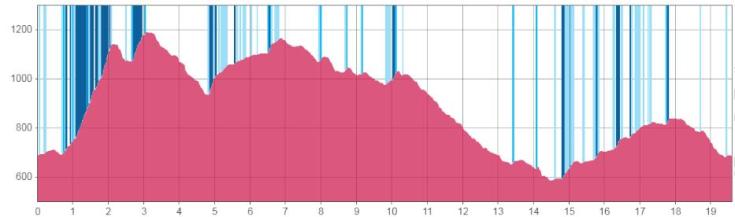 cxm igualeja 2019 perfil