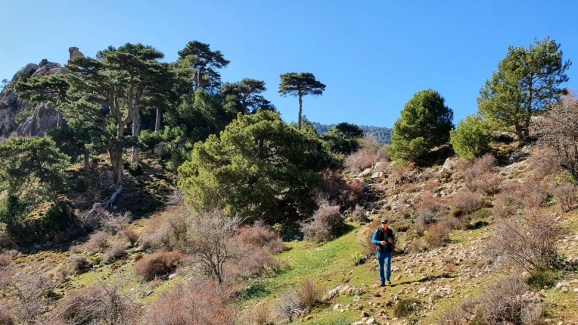 11 Collado del Puerto