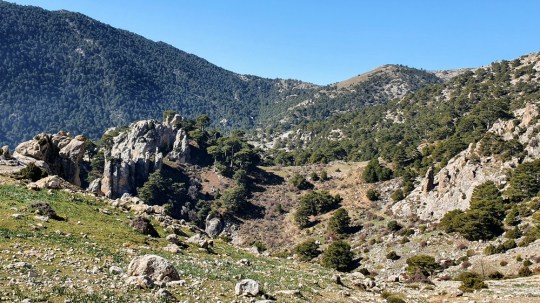 15 Collado de la Cueva