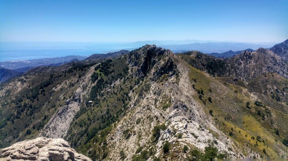 23 Cresta de la cadena