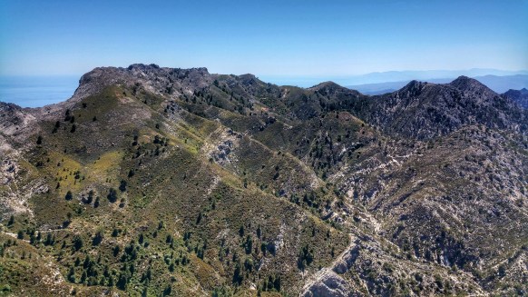 29 Cresta de la cadena