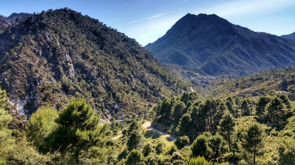 34 collado de la carne