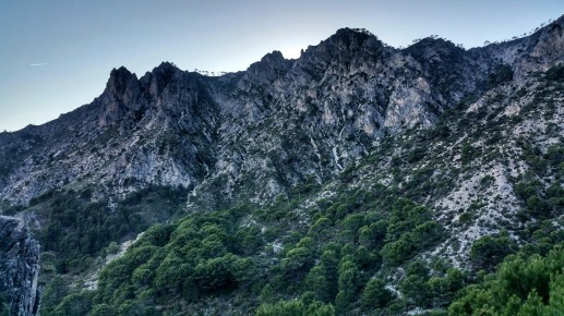 36 Cresta de la cadena