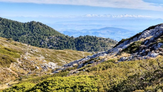 42 Barranco del Buey