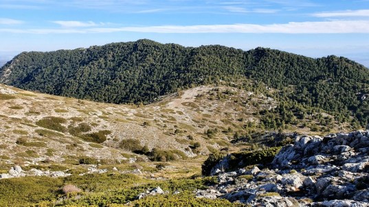 44 Cuerda del Milagro