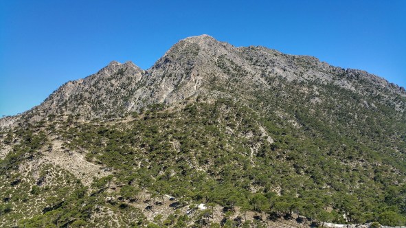 6 Puerto de Frigiliana