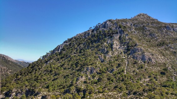 8 Cerro de los machos