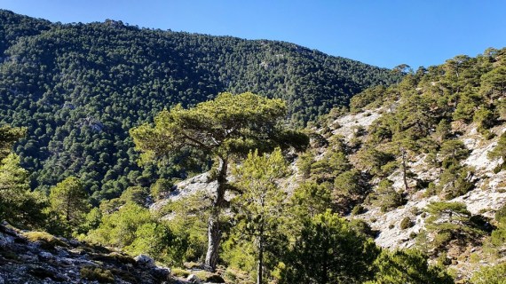 8 Collado del Puerto