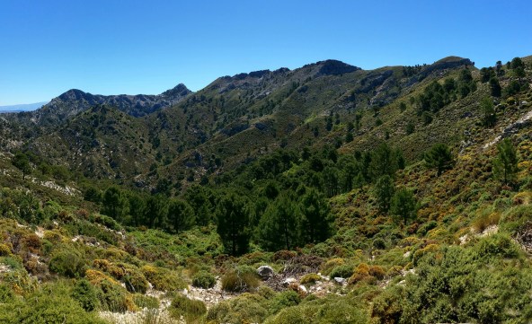 9 Cuerda de las Tejadillas