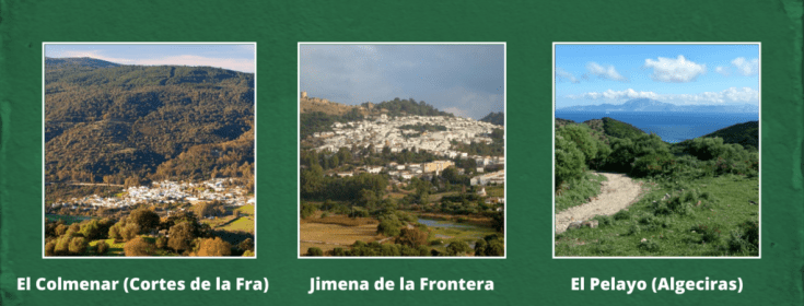 El-Colmenar-1024x390