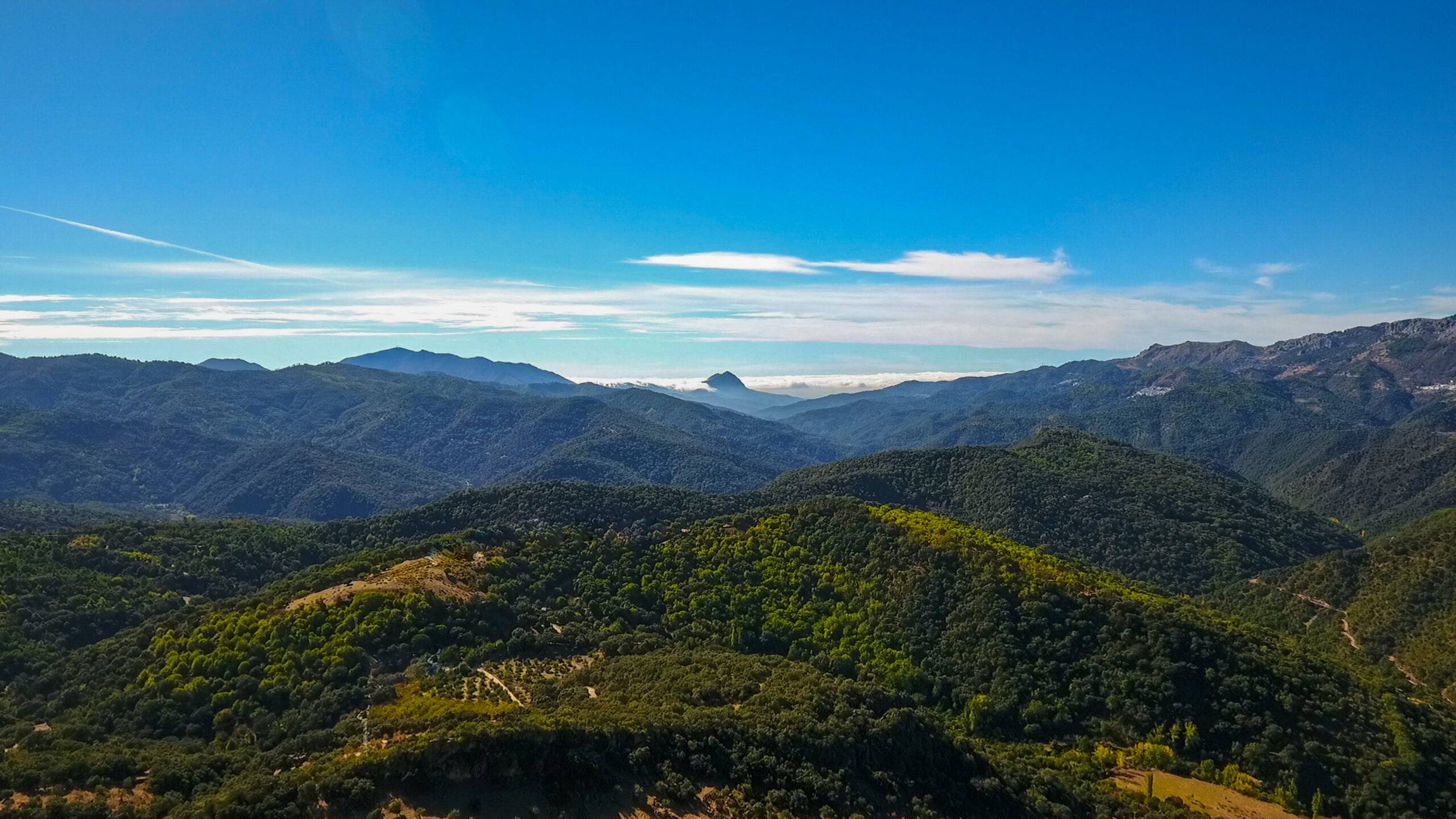 Toma-Grande-001-scaled