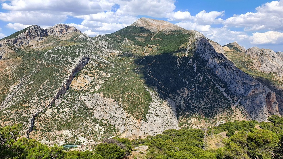 11 Cerro poblado por pinar