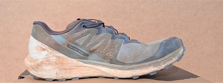 Salomon Sense Ride 4 (6)