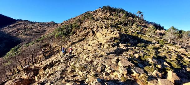 Sierra Bermeja Pinsapares (8)